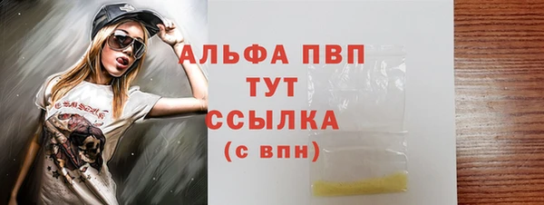 стафф Новодвинск